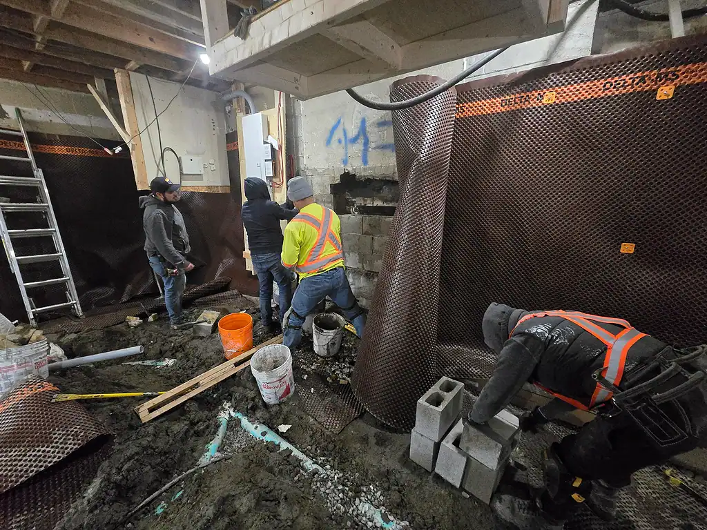 Professional Wet Basement Waterproofing Contractor